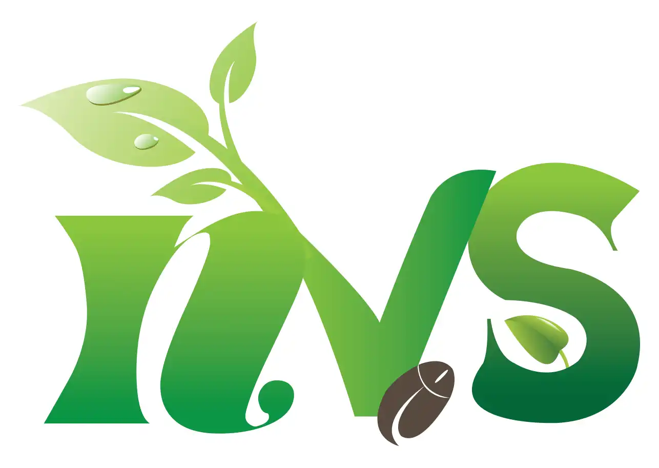 NVS Logo